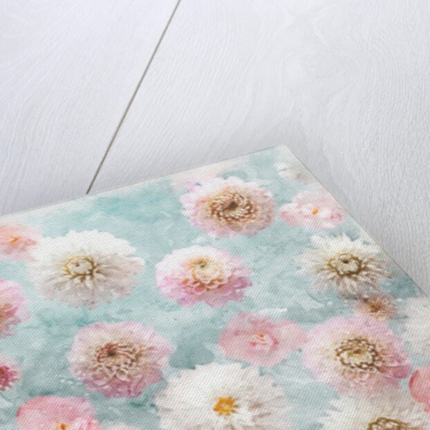 Dahlia Flowers by Assaf Frank